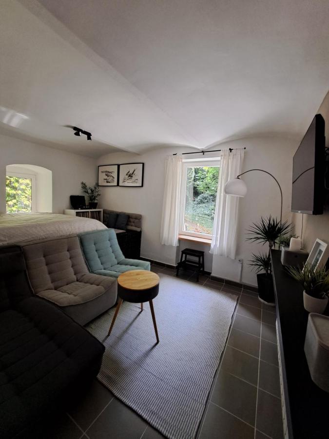 ザグレブCity Centar Apartman With Gardenアパートメント エクステリア 写真